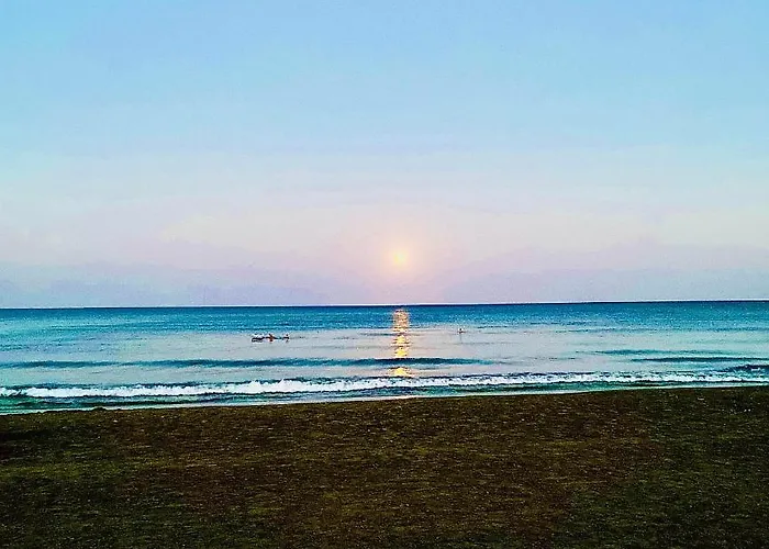 Bali 505 ラルナカ