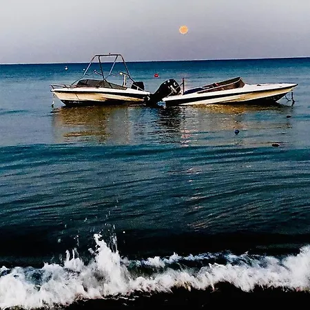 Bali 505 * לרנקה