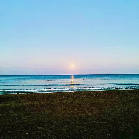 Bali 505 Larnaca